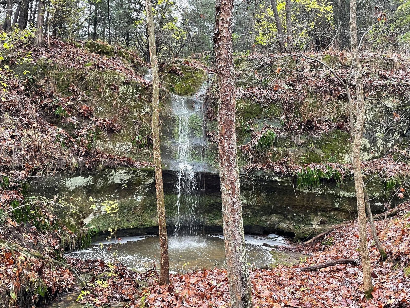 Kress Farm Garden Preserve